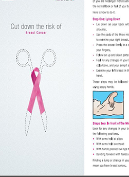 https://zulekhahospitals.com/uploads/leaflets_cover/13Breast_Cancer-Screening.jpg