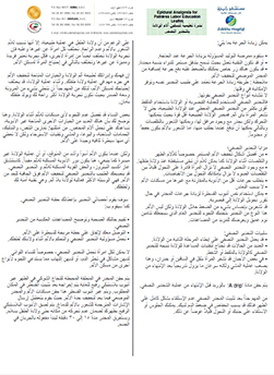 https://zulekhahospitals.com/uploads/leaflets_cover/13Epidural-Analgesia-for-Painless-Labor-Educational-Leaflet-Arabic.jpg